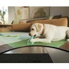 iRobot Roomba Plus 515 Combo + AutoWash dock (fekete)