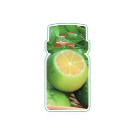 Moodia ORANGE illatpatron, 500ml