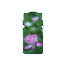 Moodia DAISY illatpatron, 500ml